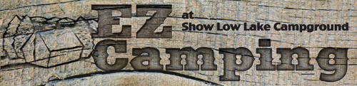 EZ Camping at Show Low Lake Campground