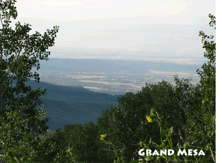 Grand Mesa Colorado