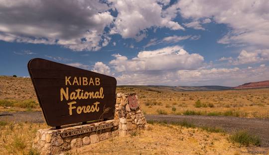 Kaibab Campground