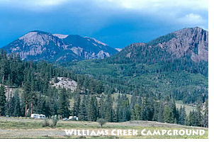 Williams Creek Campground